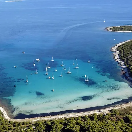 Family Friendly With A Swimming Pool Verunic, Dugi Otok - 14286 * ולי ראט