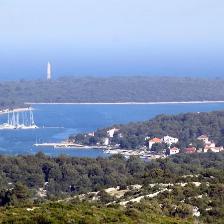 Family Friendly With A Swimming Pool Verunic, Dugi Otok - 14286